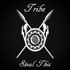 Steal This - Tribe