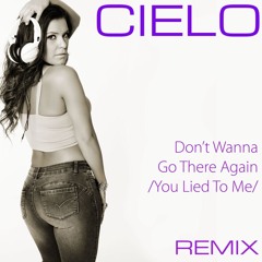 Don't Wanna Go There Again (You Lied To Me)