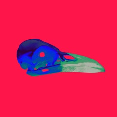 3LIXAR x Striata // Magpie (WIP)