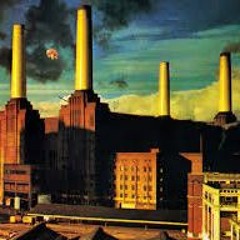Pink Floyd Animals/sheep sample