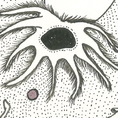 Deep Sea Blue Ring Dance Demo