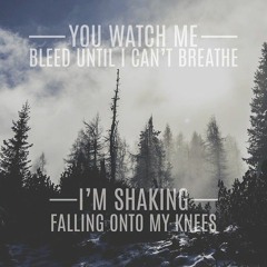 Stiches - Shawn Mendes ( Cover )