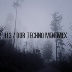 113 - December Dub Techno Minimix