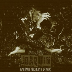 Oscar And The Wolf - Joaquim (Mehmet SARIKAYA Remix)