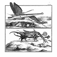 Misemployment Of A Resonant Device In A Domestic Environment - Citation #1