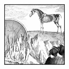 Somehow I Will Reach You [Oakland, California; May 2004]