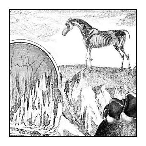 Somehow I Will Reach You [Oakland, California; May 2004]