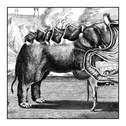 An Electromagnetic Field Has Taken An Unnatural Interest In My Sister's Piano