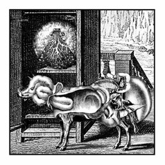 Misemployment Of A Resonant Device In A Domestic Environment - Citation #9