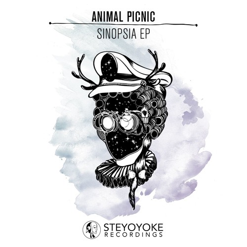 Animal Picnic - Ethorica (Original Mix)