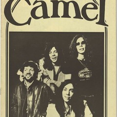 Coming of Age - Camel