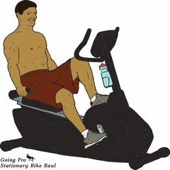 Stationary Bike Raul