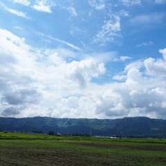 みちくさまんでー〜ゴンスタにて〜