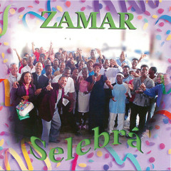 Mi Tin Motibu - Zamar