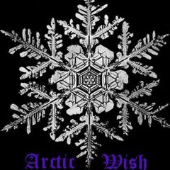 Arctic Wish - Live For The Kill (Amon Amarth vocal cover)
