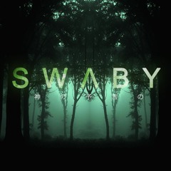 S.W.V.B.Y - Try Again (Preview)