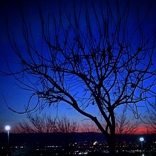 Dark Room Thoughts: Dilruba