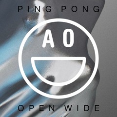 Ping Pong Open Wide (Armin van Buuren vs Calvin Harris)