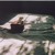 Artwork for The White Buffalo - The Whistler