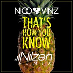 Nico & Vinz - That´s How You Know (Nilzen Remix)