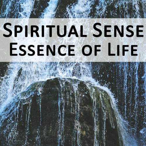Spiritual Sense - Essence Of Life (original Mix)