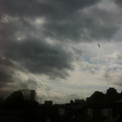 New private playlist