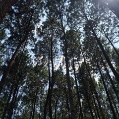 Danilla - Ada Disana (cover guitar by kunto)