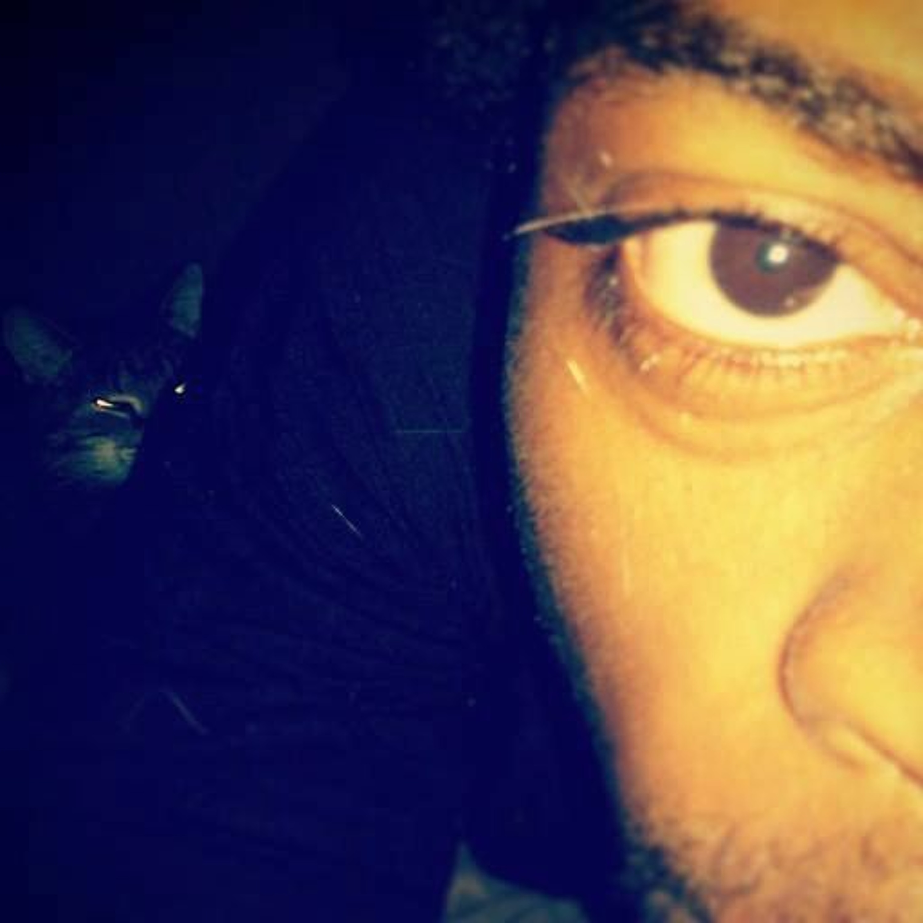 KuK TuT " Third Eye Bird Fly" fREeStyl3KINGglitch episode artwork