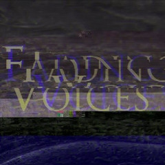 Fading Voices - Time in Self