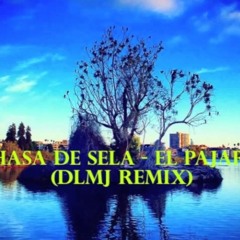 Lhasa de Sela - El Pajaro (DLMJ Remix)[Bootleg]