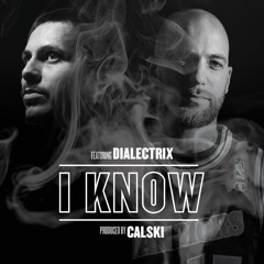 Synergy - I Know Ft. Dialectrix (Calski Comp)