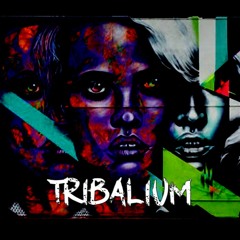 Rikardo Salazar & Chris Sebastian - Tribalium (Original)