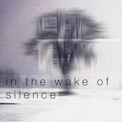 in the wake of silence