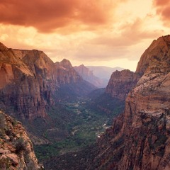 Wunshu On, Wunshu Off - Zion