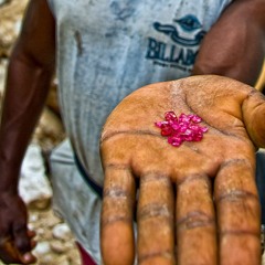 BURMESE RUBY [BOTANY OWA  REMIX]