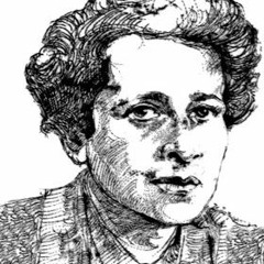 Partially examined Hannah Arendt