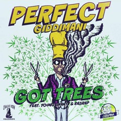 Perfect feat. Young Shanty & Rasrap - Got Trees [Giddimani Records 2015]