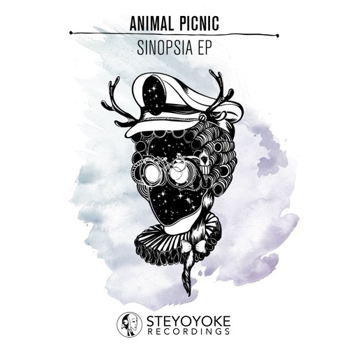 Animal Picnic - Vandala (Original Mix) | Steyoyoke