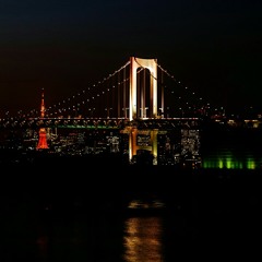 Mrs Officer Lil Wayne Cover