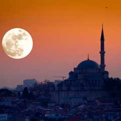Black Zäpfle And The Drunken Bördz - Moon In Istanbul