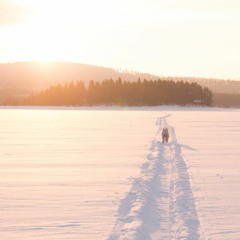 Running Sunshine October Chilled
