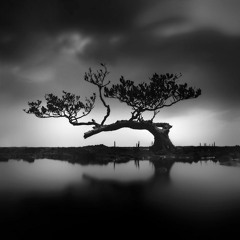 Psybient Music For Homework and Study