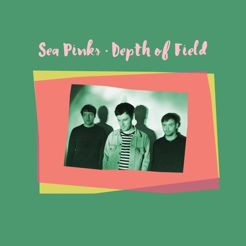 Sea Pinks - Depth of Field