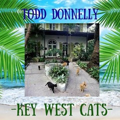 Key West Cats by Todd Donnelly