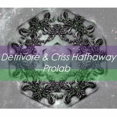 Detrivore & Criss Hathaway - Prolab (Original Mix)