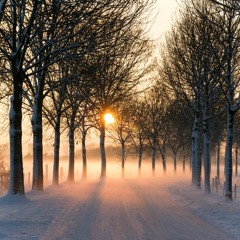 Walk in the Snow