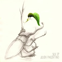 Julien Piacentino - Silk (S.K.A.M. Remix)
