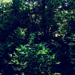 Words (w/ BatmanOnTheBeatz)