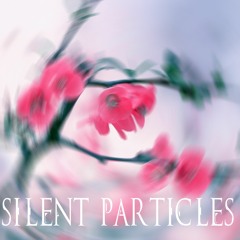 Valoriz & Fuji - Silent Particles