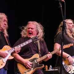 The Kentucky Headhunters - Dumas Walker - Live on Mountain Stage
